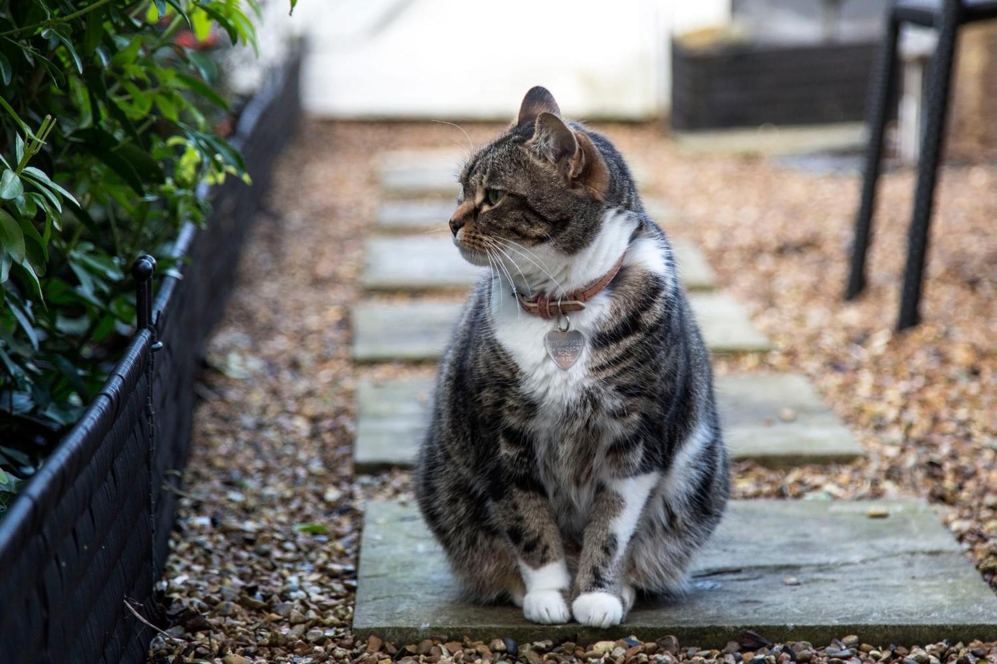 リッチモンドWindsor Road Retreatアパートメント エクステリア 写真